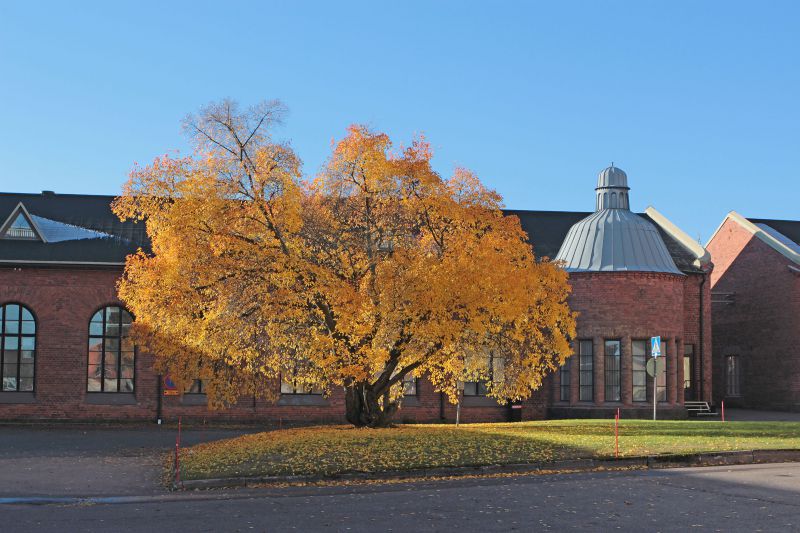 Voikkaan yritysalue
