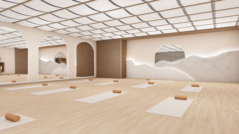 Havainnekuva joogasalista 