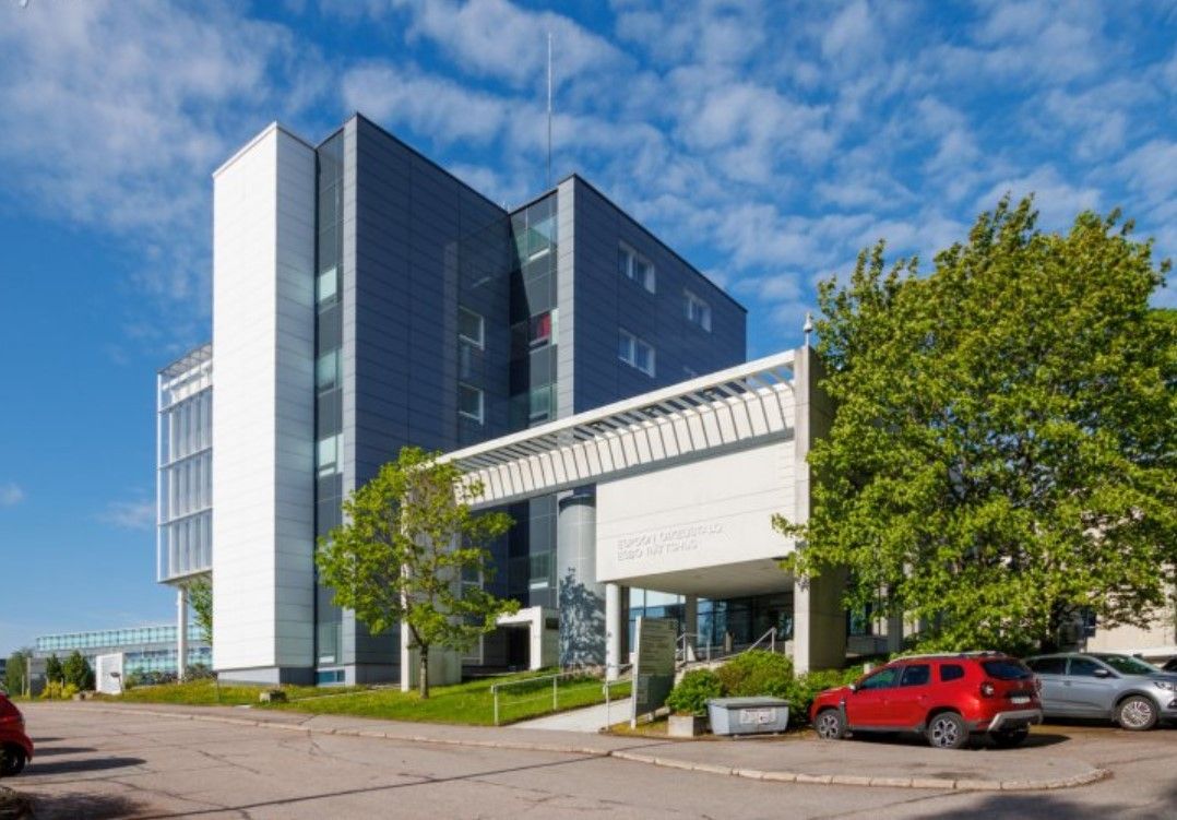 Kohdekuva 8