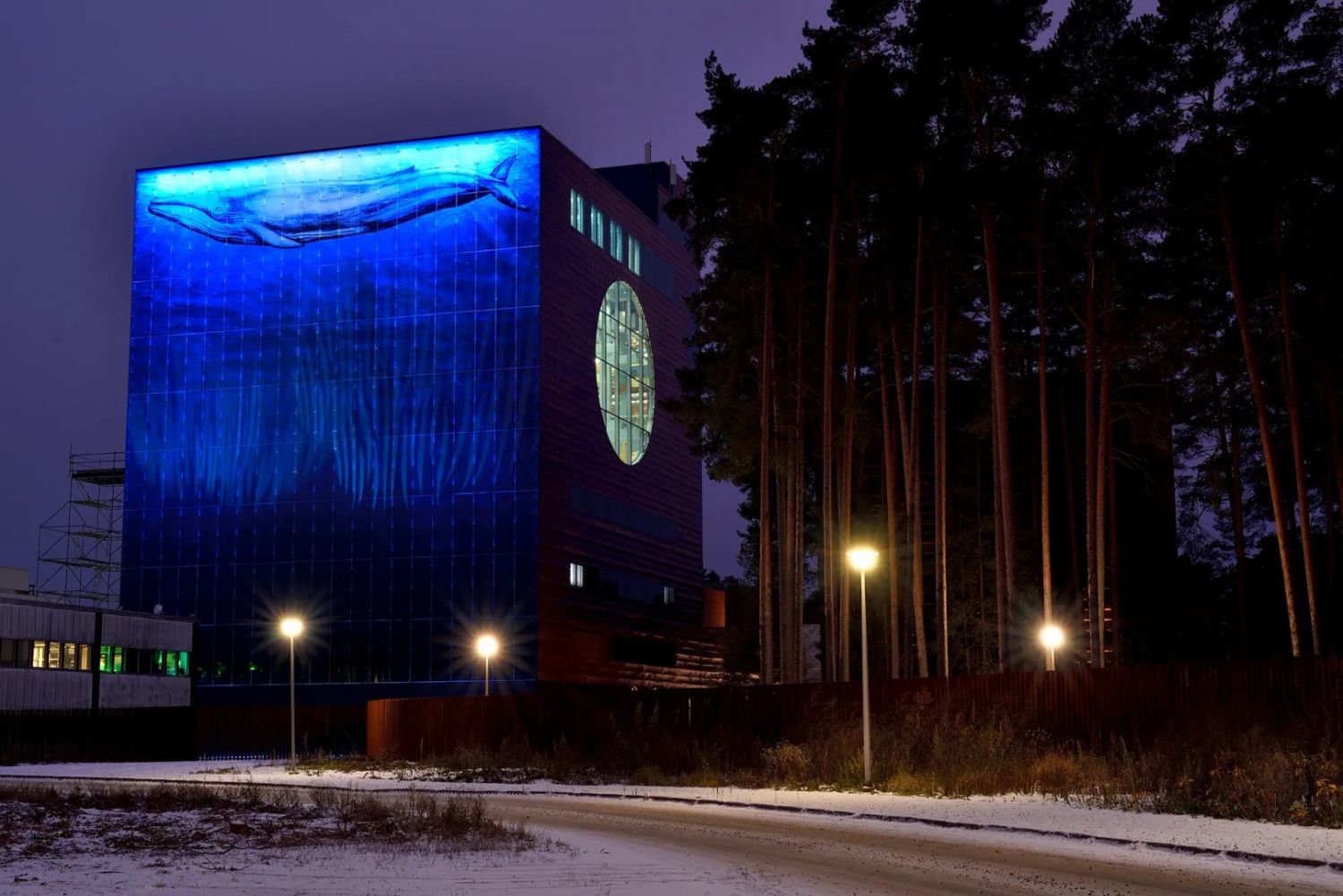 Kohdekuva 3