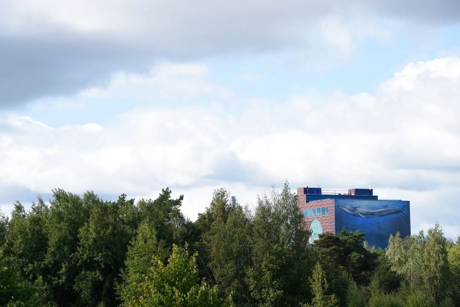 Kohdekuva 9