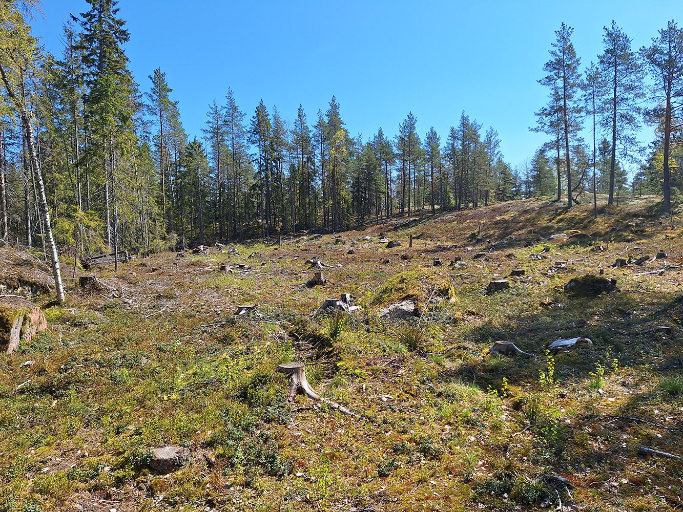 Myydään omakotitalotontti Gumbostrandin kylässä Sipoossa!