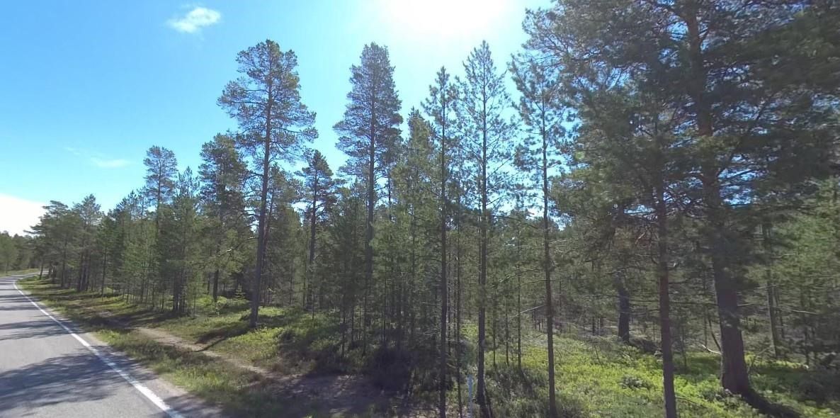 Erinomaisella paikalla Hailuodon Marjaniemessä meren tuntumassa noin 5400 m2:n määräala, joka on varustettu osayleiskaavamerkinnällä P (palvelujen ja hallinnon alue).Kaava mahdollistaa monipuolisen rakentamisen ja rakennusoikeutta on käytettävissä 800 kem2.Kiinteä maantieyhteys on rakenteilla Ha...