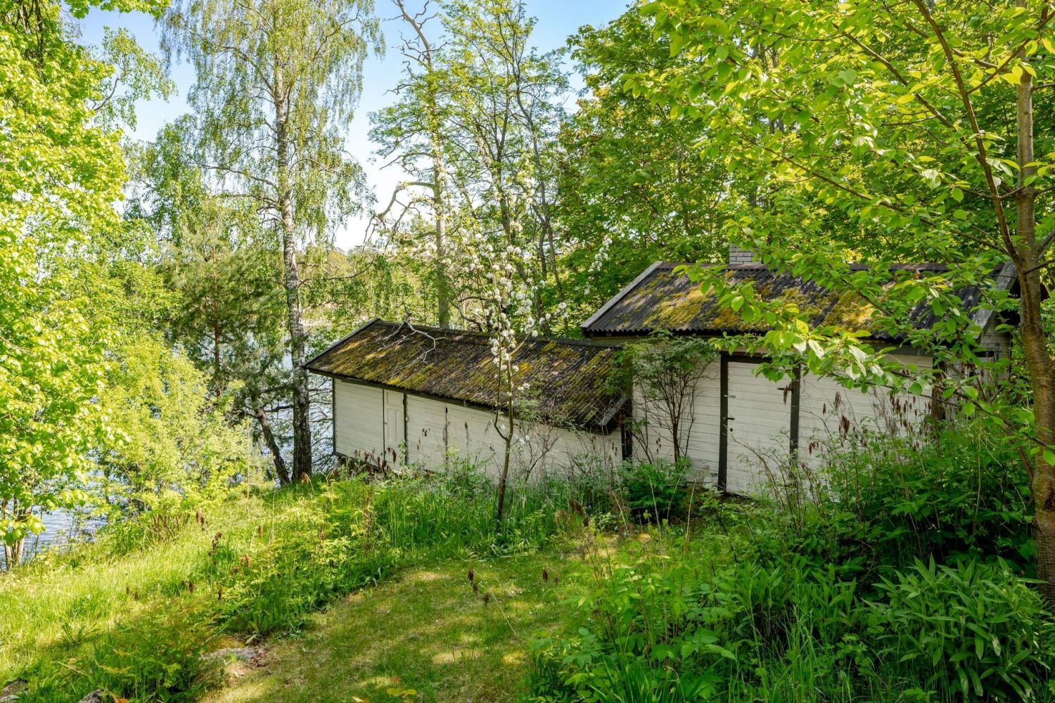 vaja