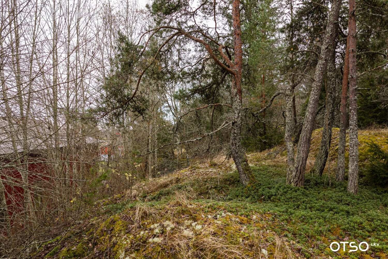 Kohdekuva 14