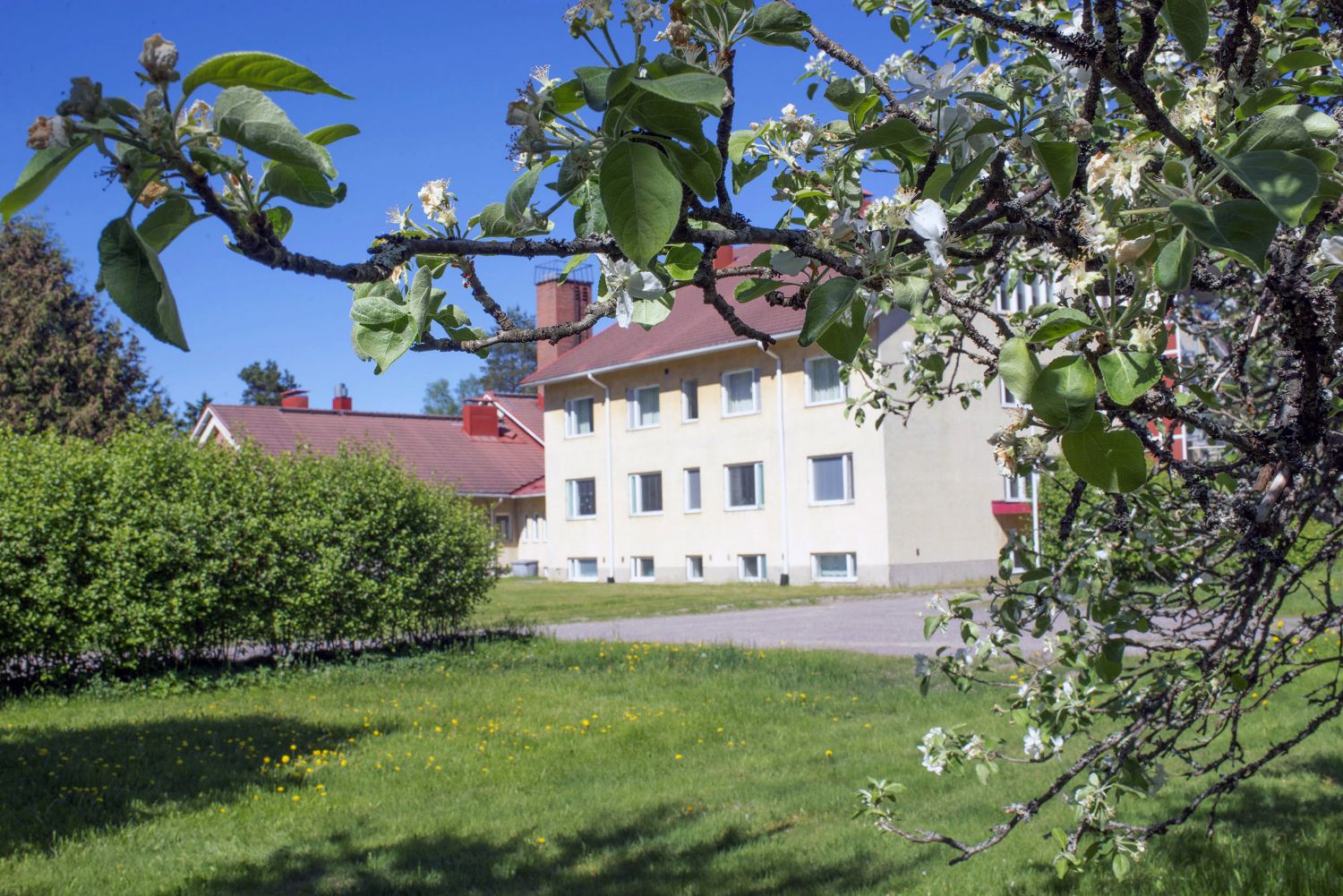Vuokralle tarjolla Ridasjärven entinen päihdehoitolaitos.
Kokonaisuus koostuu useista eri rakennuksista, joten mahdollis...