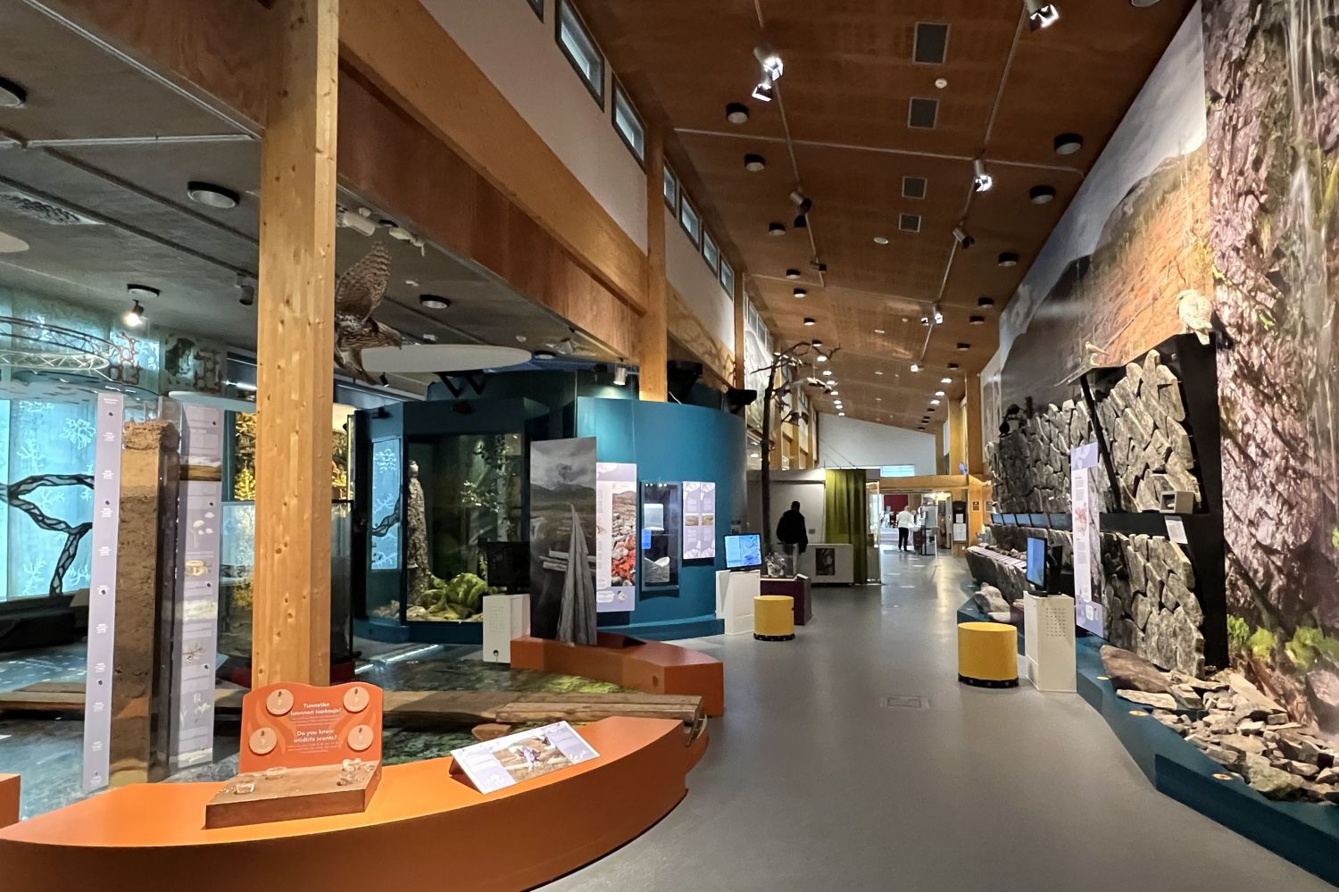 Näyttely ja liiketilaa