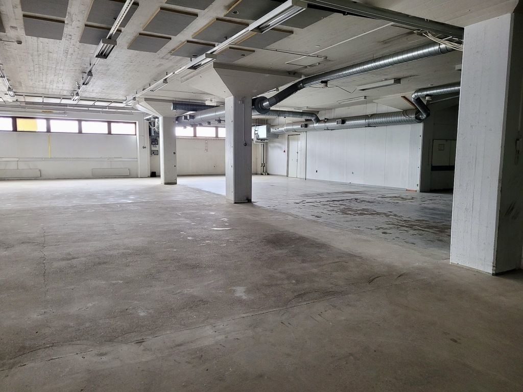 03.jpg
