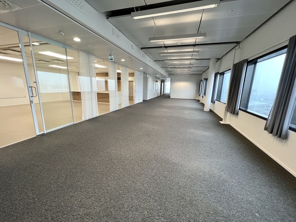 06.jpg