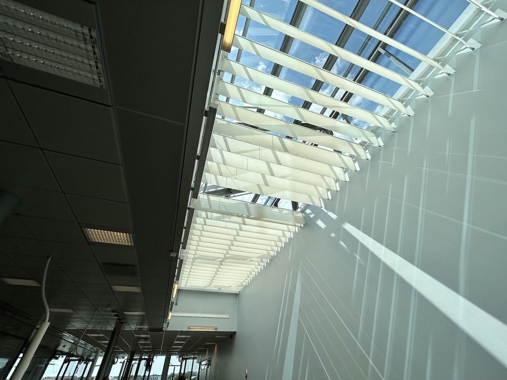 06.jpg