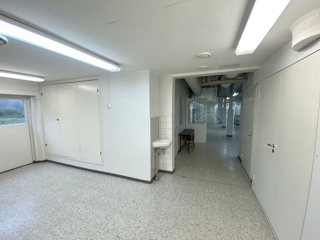 04.jpg