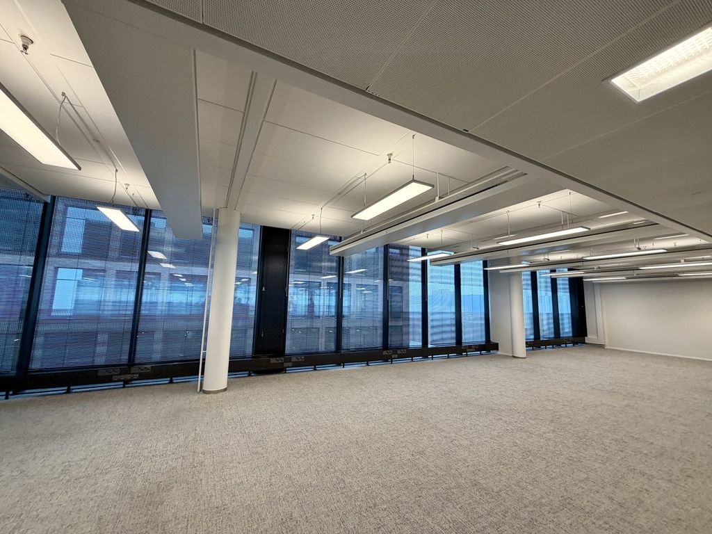 05.jpg