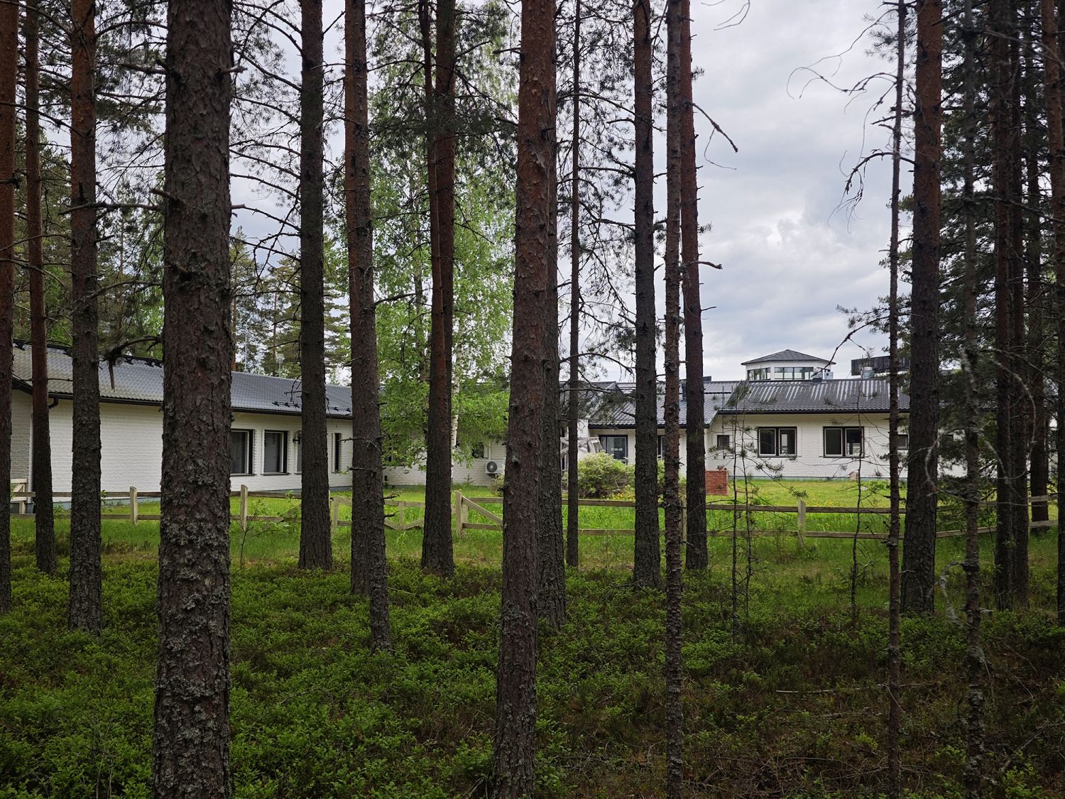 Hotellikiinteistöä ympäröivä metsäinen ja vehreä piha-alue.