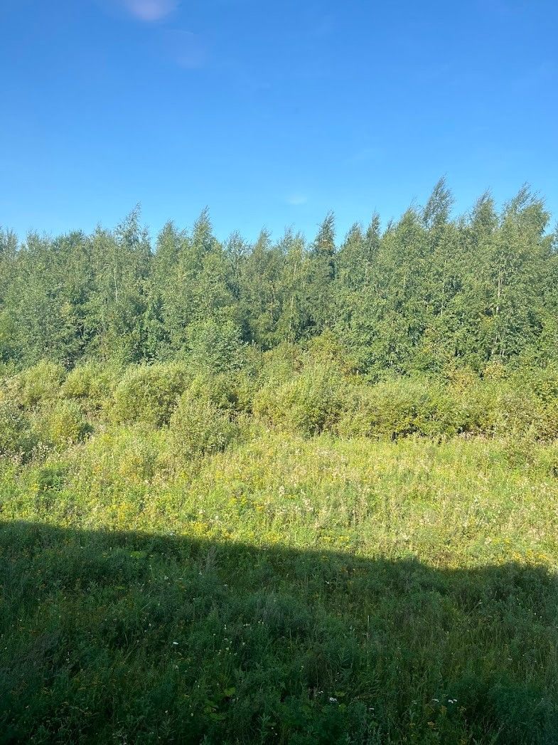 Kohdekuva 21