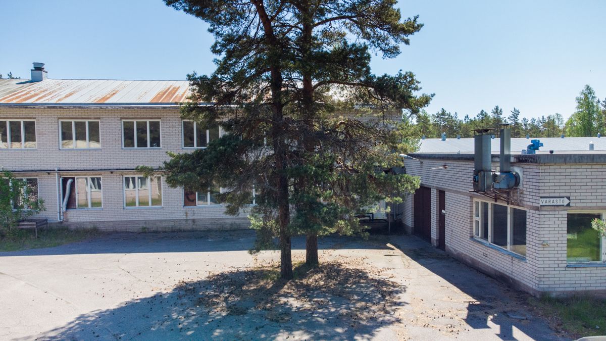 Kohdekuva 11