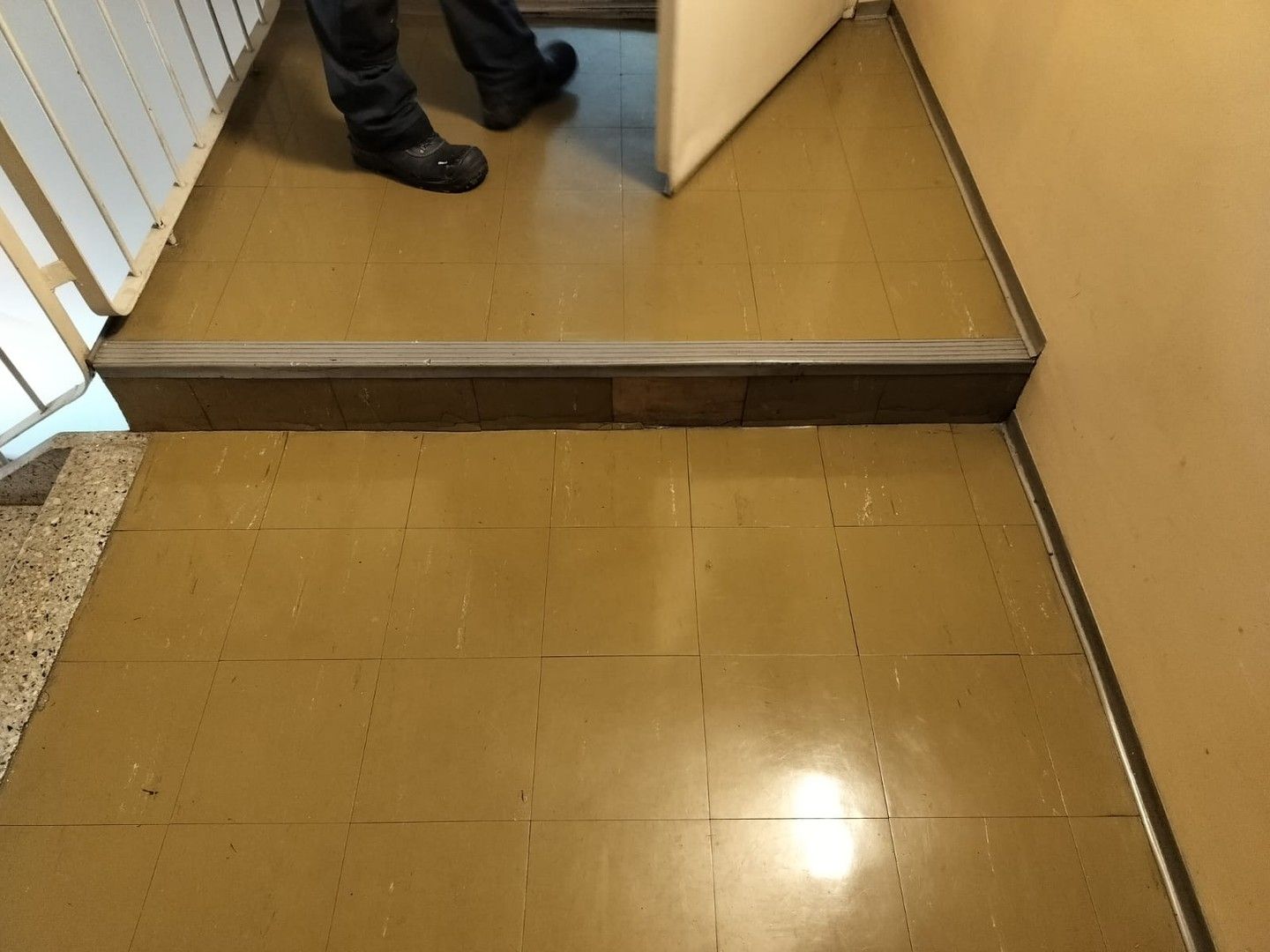 Kohdekuva 6